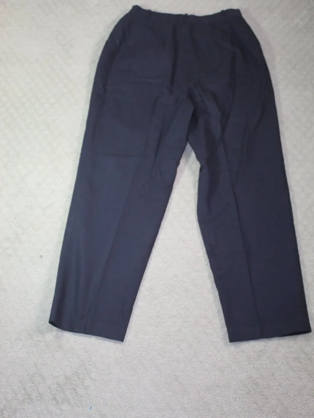 Talbots Size 10 Navy Blue Fully Lined Pleated Front Dress Pants